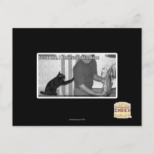 Scooz, ich glaube, das gehört mir postkarte