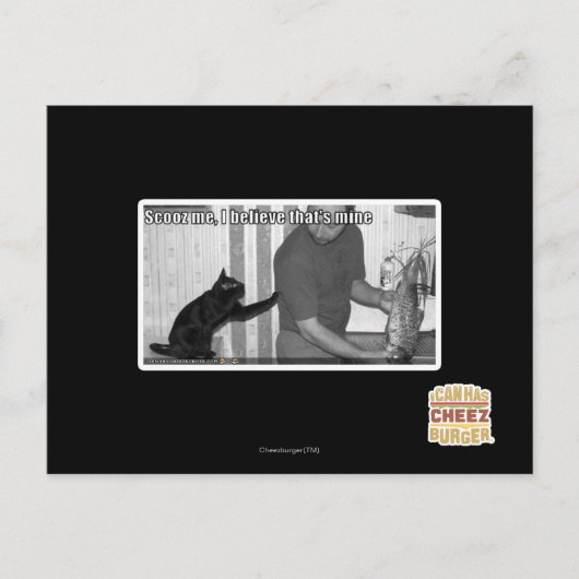 Scooz, ich glaube, das gehört mir postkarte (Vorderseite)