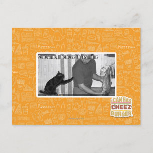 Scooz, ich glaube, das gehört mir postkarte