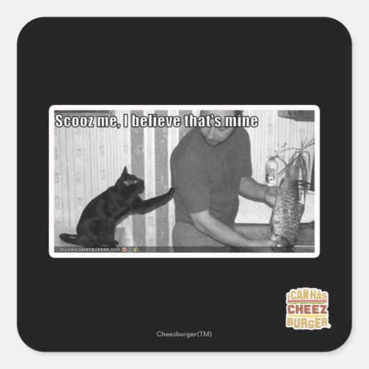 Scooz, ich glaube, das gehört mir quadratischer aufkleber (Vorderseite)