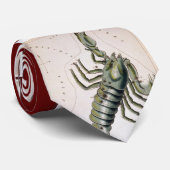 Scopio Krawatte (Gerollt)