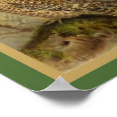 Scops Owl Vintag Bird Illustration Poster (Ecke)