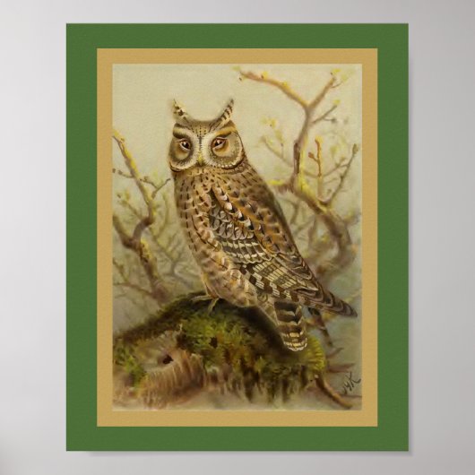 Scops Owl Vintag Bird Illustration Poster (Vorne)