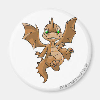 Scorchio Brown Magnet