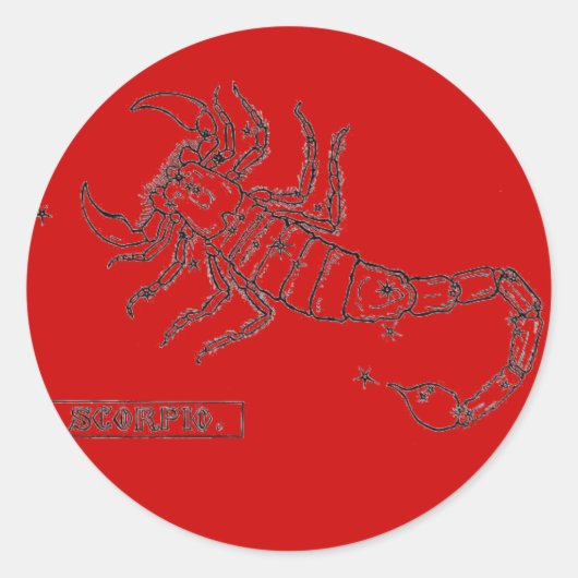 Scorpio-Aufkleber Runder Aufkleber (Vorderseite)