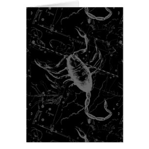 Scorpio Constellation Hevelius 1690 auf Schwarz