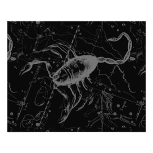 Scorpio Constellation Hevelius 1690 auf Schwarz Fotodruck