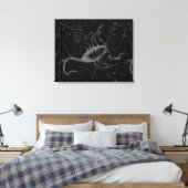 Scorpio Constellation Hevelius 1690 auf Schwarz Leinwanddruck (Insitu (Schlafzimmer))