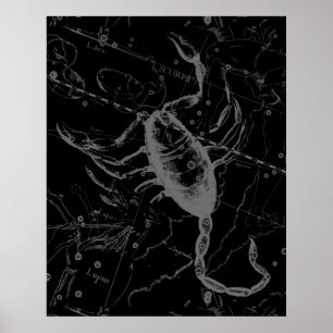 Scorpio Constellation Hevelius 1690 auf Schwarz Poster