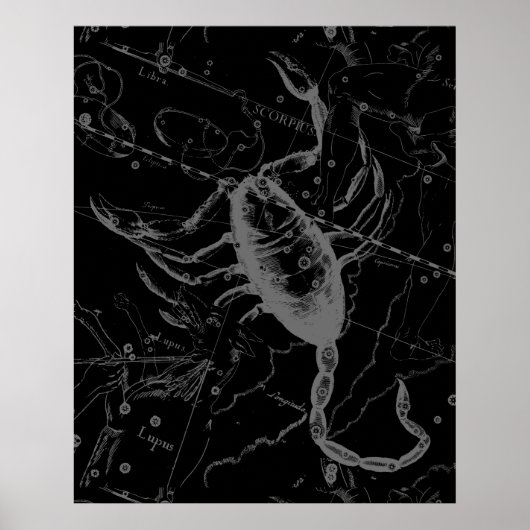 Scorpio Constellation Hevelius 1690 auf Schwarz Poster (Vorne)
