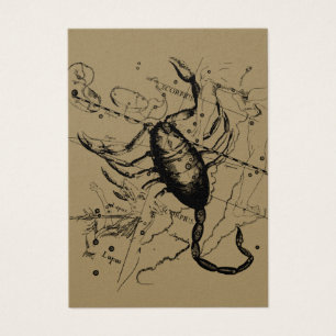 Scorpio Constellation Hevelius 1690 Dekor