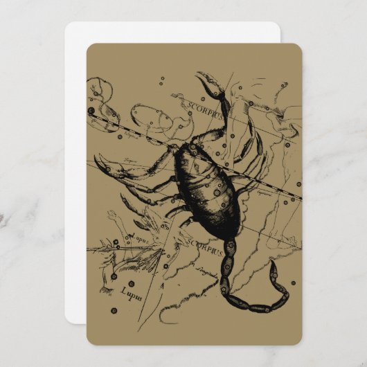 Scorpio Constellation Hevelius 1690 Dekor (Vorne/Hinten)