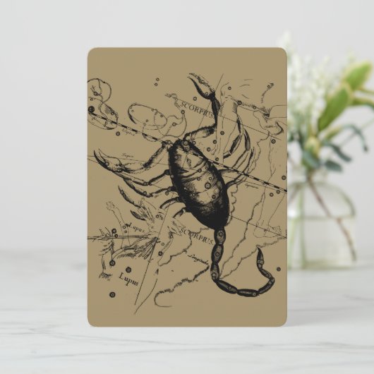 Scorpio Constellation Hevelius 1690 Dekor (Stehend Vorderseite)