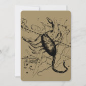 Scorpio Constellation Hevelius 1690 Dekor (Vorderseite)