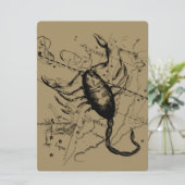 Scorpio Constellation Hevelius 1690 Dekor (Stehend Vorderseite)