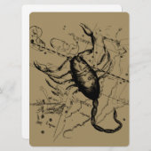 Scorpio Constellation Hevelius 1690 Dekor (Vorne/Hinten)