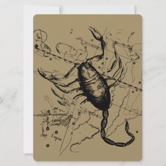 Scorpio Constellation Hevelius 1690 Dekor (Vorderseite)