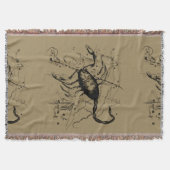 Scorpio Constellation Hevelius 1690 Dekor Decke (Vorderseite)