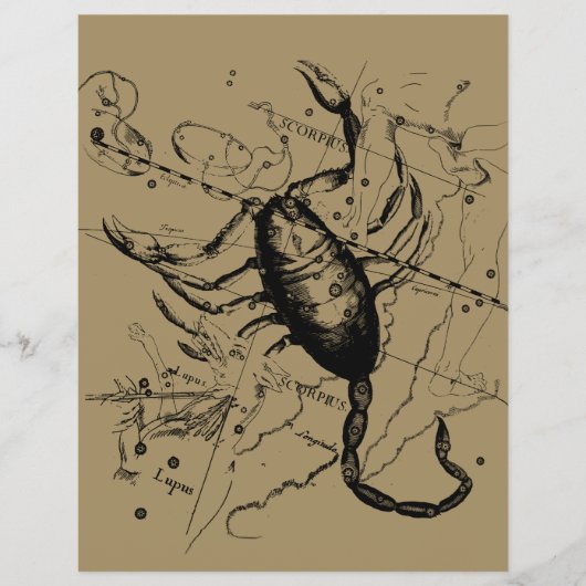 Scorpio Constellation Hevelius 1690 Dekor Flyer (Vorne)
