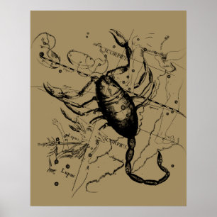 Scorpio Constellation Hevelius 1690 Dekor Poster