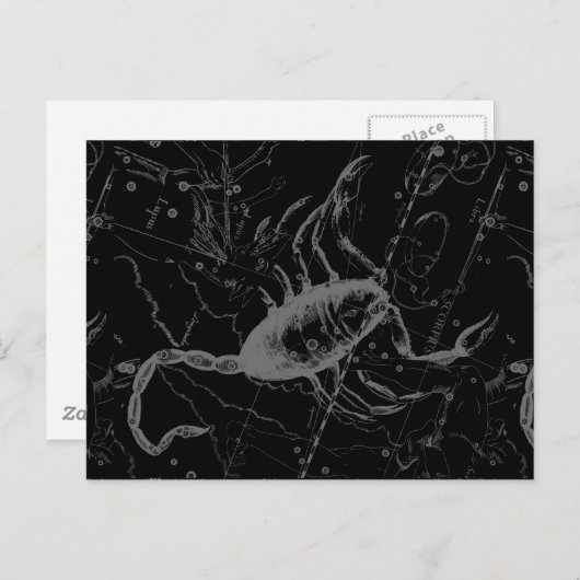 Scorpio Constellation Hevelius circa 1690 auf Schw Postkarte (Vorne/Hinten)