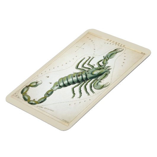 Scorpio-Konstellation Magnet (Linke Seite)