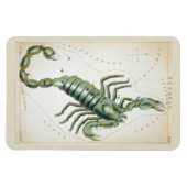 Scorpio-Konstellation Magnet (Horizontal)