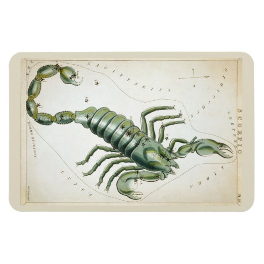 Scorpio-Konstellation Magnet (Horizontal)