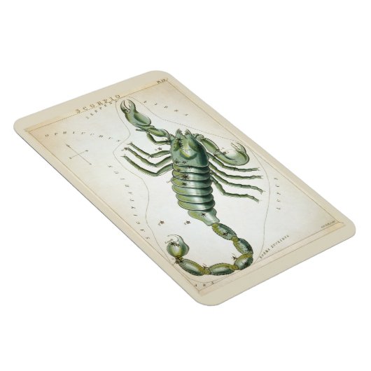 Scorpio-Konstellation Magnet (Rechte Seite)