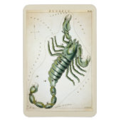 Scorpio-Konstellation Magnet (Vertikal)