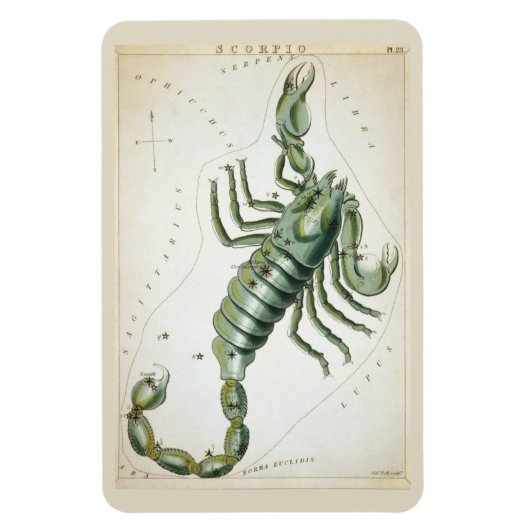 Scorpio-Konstellation Magnet (Vertikal)