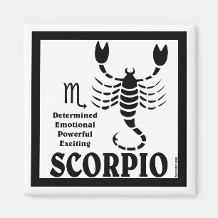 Scorpio Magnet