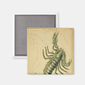 Scorpio Magnet (Vorderseite/Rückseite)