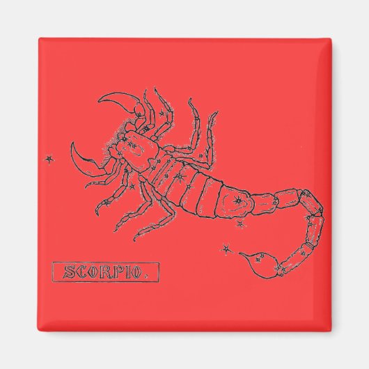 Scorpio Magnet (Vorne)