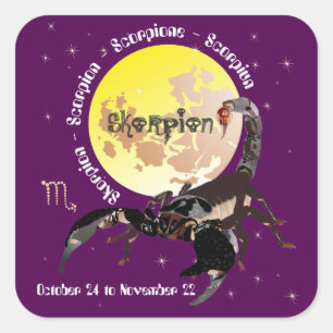 Scorpio October 24 to November 22 Sticker