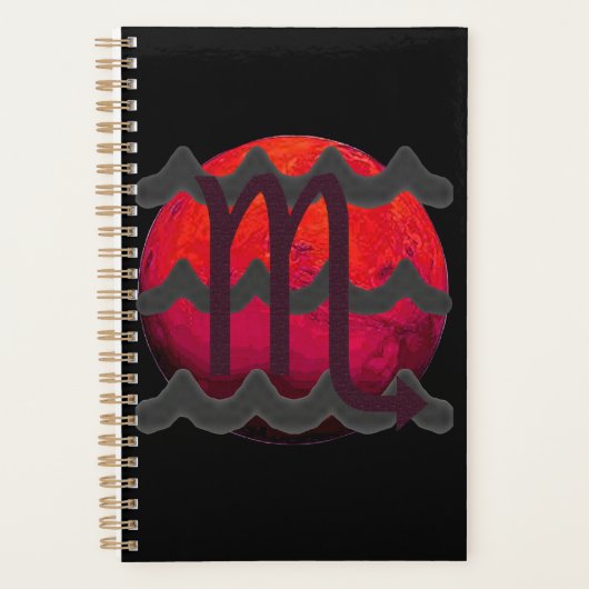 Scorpio Planer (Vorderseite)