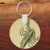 Scorpio-Schlüsselanhänger Schlüsselanhänger (Vorderseite)