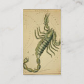 Scorpio-Visitenkarte Visitenkarte (Rückseite)