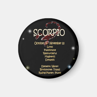 Scorpio zodiac magnet