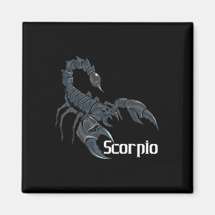 Scorpio Zodiac Sign Horoskop Lover Astrologe Magnet