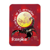 Scorpion Premium Flexi Magnet (Vertikal)