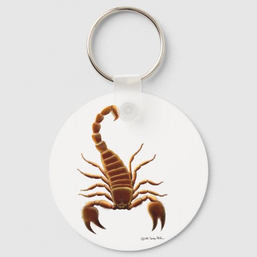 Scorpion Schlüsselanhänger (Vorderseite)
