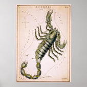 SCORPION SCORPIO KONSTELLATION 1825 POSTER (Vorne)