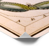 SCORPION SCORPIO KONSTELLATION 1825 POSTER (Ecke)