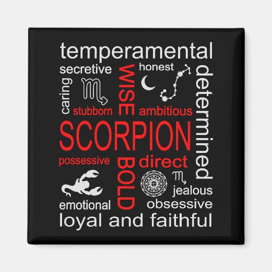 Scorpion Zodiac Sign Magnet (Vorne)