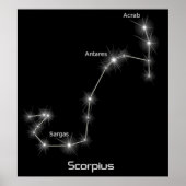 Scorpius Constellation Scorpio Zodiac Business Poster (Vorne)