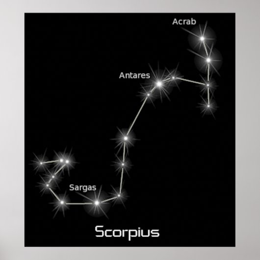 Scorpius Constellation Scorpio Zodiac Business Poster (Vorne)