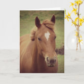 Scotch A Horse, Geburtstag Karte (Gelbe Blume)