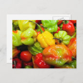 Scotch Bonnet Chili Paprikaschoten Postkarte (Vorne/Hinten)