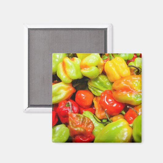 Scotch Bonnet Magnet (Vorderseite/Rückseite)